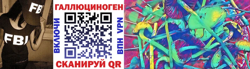 купить наркотик  Устюжна  ОМГ ОМГ ССЫЛКА  Псилоцибиновые грибы Cubensis 
